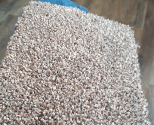 Bill's Carpet - Thumbnail