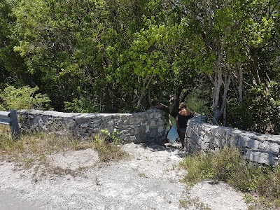 Photos of Cathedral Cave