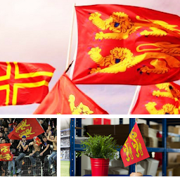 Photo n°29 de Cotilux à Caen (Magasin de déguisements)