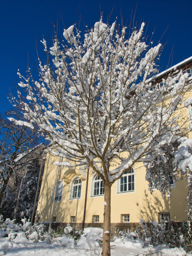 Landratsamt, Tirschenreuth