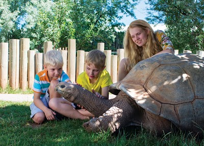 Reptile Gardens