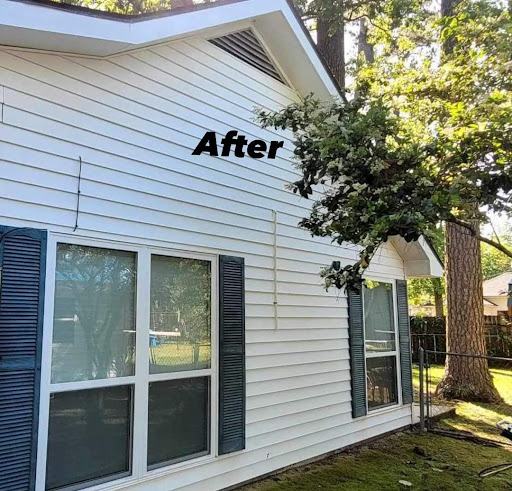 Cajun Pro Pressure Wash & Services