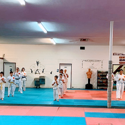 Karate Sports Academy - Thumbnail