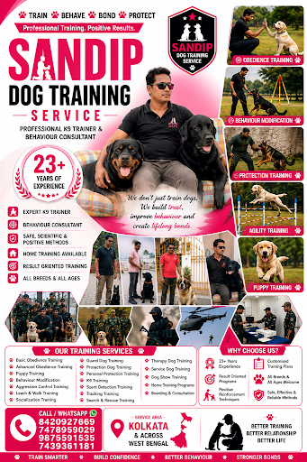 🐕 Dog Training Programs post image