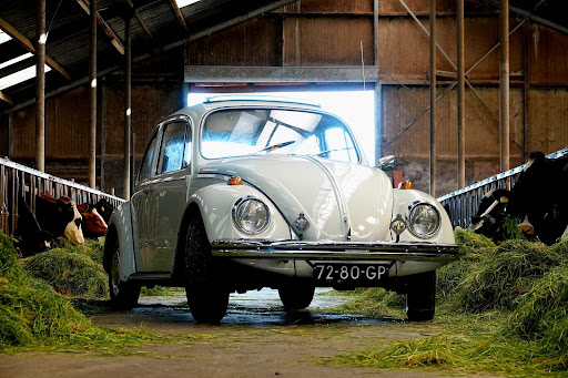 Vintagecarswapenveld - Thumbnail