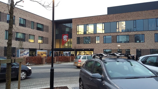 University of Birmingham School
