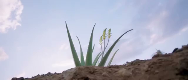 Opinii despre Aloe Vera Gel Forever by Nature în Vitry-sur-Seine - Épicerie