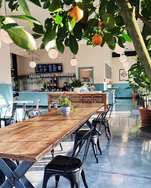 Druthers Coffee — photo