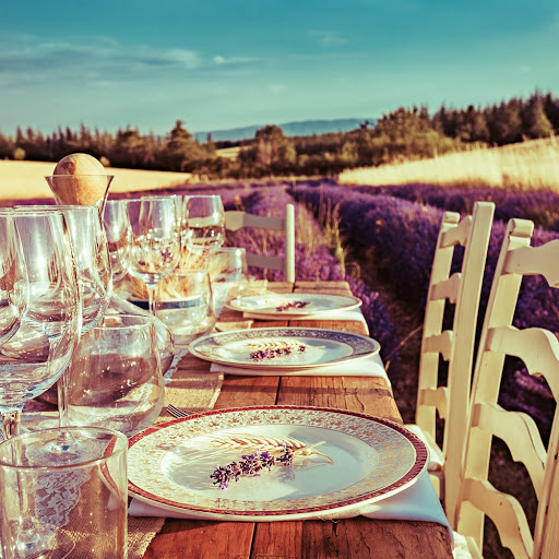Verveine en provence - Thumbnail