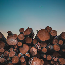 Photo n°5 de IDF Palettes Services à Jaux (Centre de recyclage)