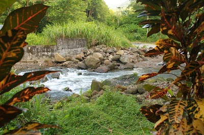 Photos of Natty tropical valley