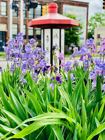 The Peterboro by null