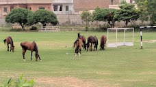 CEME Horse Riding Club islamabad