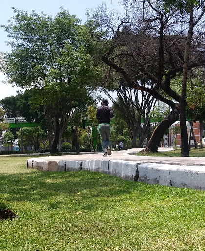 Revolucion Social Park Logo
