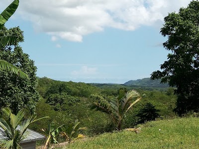 Photos of Monkey's Wata