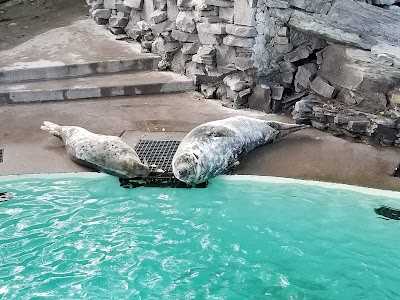 Aquarium of Niagara