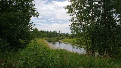 Bailey's Arboretum Preserve - Thumbnail