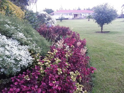 Photos of Wima Serenity Gardens Guest House Kericho
