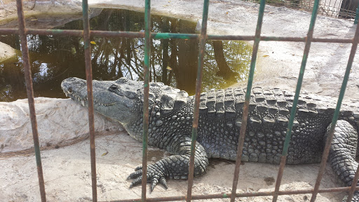 Cerrajería Acuario Gallery - Mexico