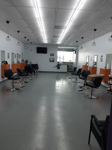 Salon Pressed - Visual