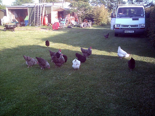 Orchard Cottage camping & caravan site Gallery - United Kingdom