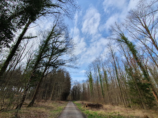 Stempelstation Nördliches Harzvorland Nr. 8 Oma und Opa - Thumbnail