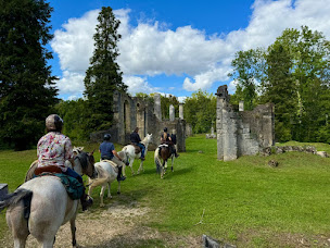 Photo n°6 de La ferme du Vallon à Moirey-Flabas-Crépion (Centre de randonnée équestre)