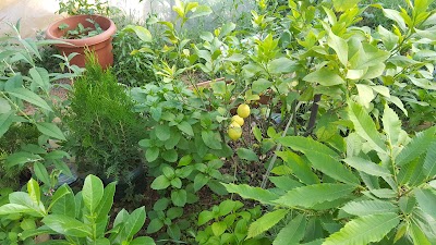 Photos of Villa Jovan