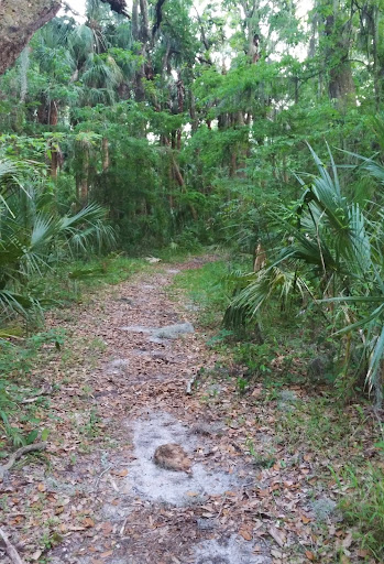 Alafia River Reserve - Thumbnail