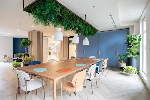 D-Plantes / Location de plantes pour bureaux / Paris