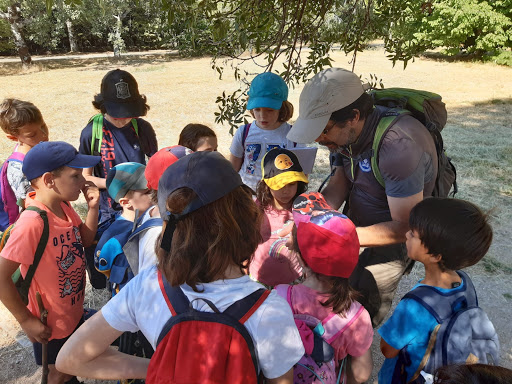 Aula de Naturaleza Graellsia