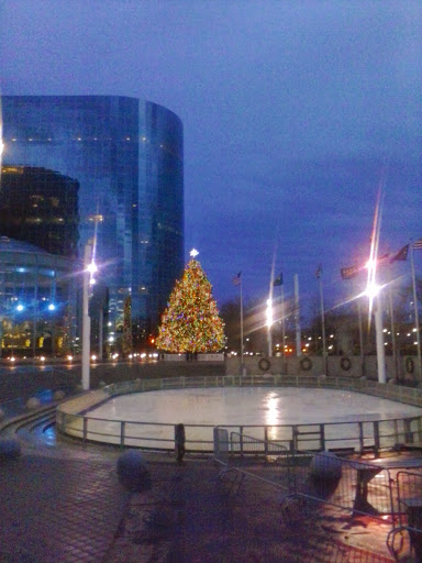 De Matteis Ice Rink Gallery - United States