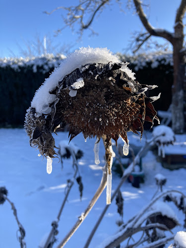 Kleingärtnerverein Heidehöhe e. V.