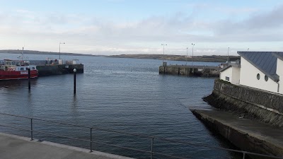 Photos of Whale Watch West Cork