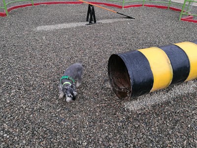 Photos of Pet recreational space Achumani
