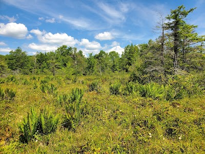 Cranesville Swamp Natural Area