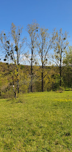 Forstliches Arboretum Liliental Gallery - Germany