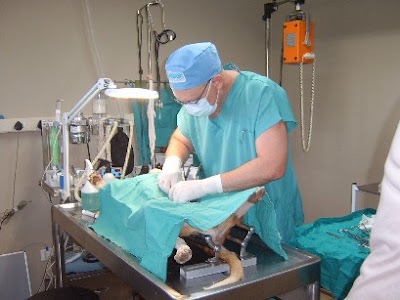 Photos of Bergbos Animal Clinic