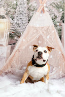 Maeva et compagnies à Kunheim