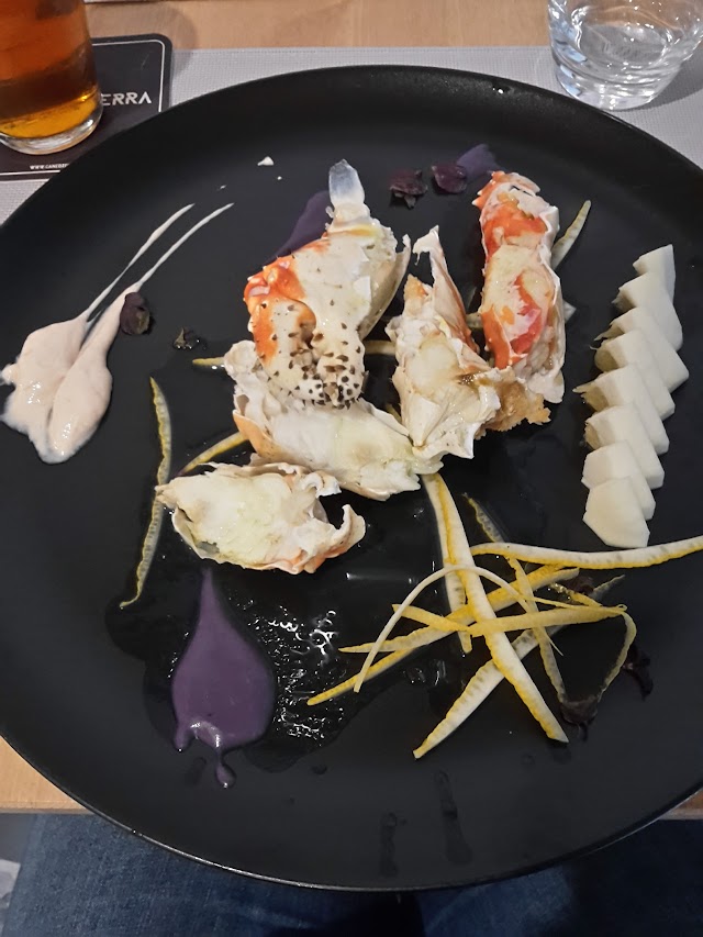 coendi steakhouse & seafood