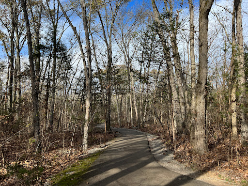 Barfield Crescent Park - Thumbnail