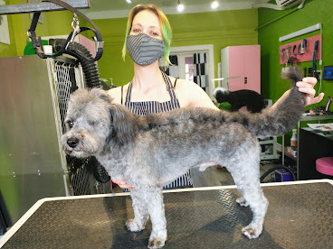 Doggy Style Salon by null