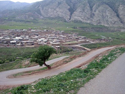 Photos of سرنجه زیودار