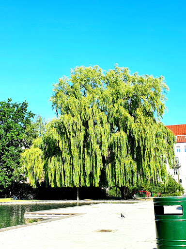 Malmö Spångatan - Visual
