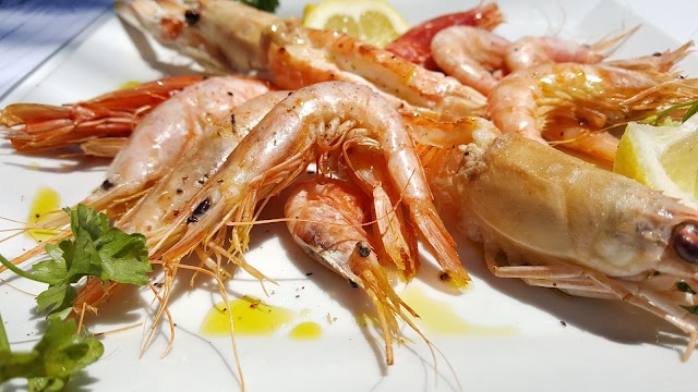 Michelino Fish