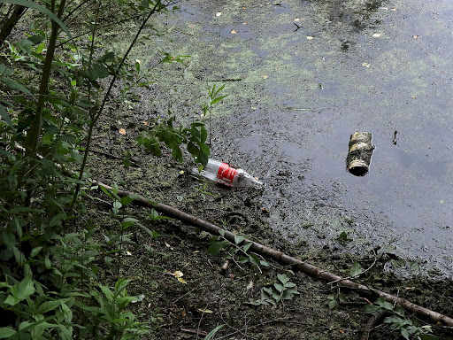 Feuchtbiotop an der Leipziger Straße - Thumbnail