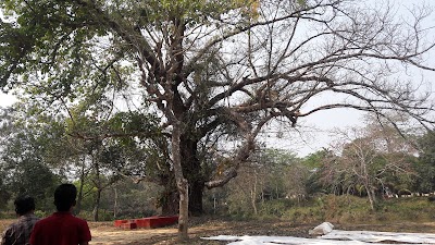 Photos of Bangladesh Academy For Rural Development, BARD