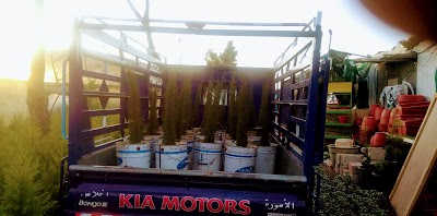 Photos of Nurseries, Hani Farag