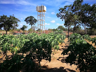 Photos of Farm - Faculty of Agriculture