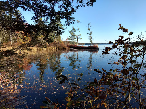Highland Research Forest - Thumbnail